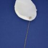 STEM